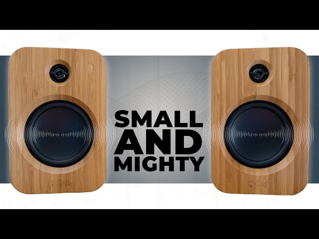 Duo or Single Speaker, You Decide  Marley Get Together Duo Speaker Review  