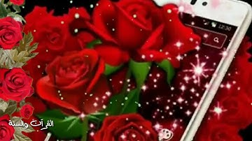 القارئ ملا نوزاد الكردي ما تيسر لة من سورة مريم🌸حالات واتس اب دينيه 🌸🌿
