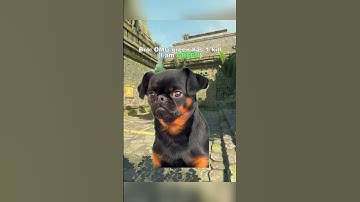 When You Trash Talk a 1 Kill Teammate… 🤡 | CS2 Funny Moment