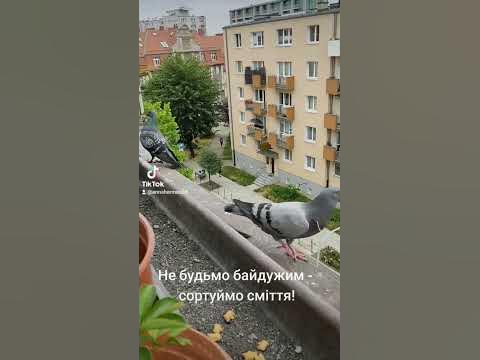 Бережімо природу #українськийконтент - YouTube