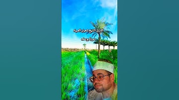 سورة يوسف الشيخ شعبان الصياد رحمه الله صياد القلوب وكروان الفجر #شعبان_الصياد