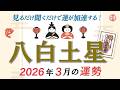【2026年3月 八白土星の運勢】最も力強い運気の月!自己研鑽で運気をさらに高めましょう!|2026年3月5日〜4月4日の運勢と吉方位|高島暦・九星気学・占い・松本象湧・亀吉2号・神宮館TV・開運
