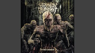 Download lagu Gastrointestinal Rupture