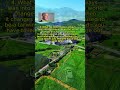 Jeff Bezos Quotes 4#motivation #quotes #shortvideo #fypシ #foryou