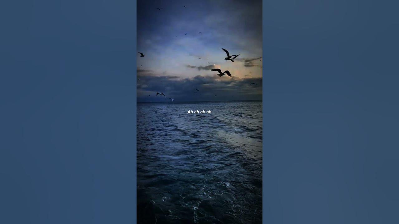 DYSTINCT - Business Ft Naza | lyrical song | aesthetic| #dystinct #lyrics