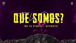 Video thumbnail of "the la planta - Olvidate !"