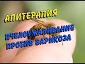 АПИТЕРАПИЯ//ПЧЕЛОУЖАЛИВАНИЕ ПРОТИВ ВАРИКОЗА//деревенские будни