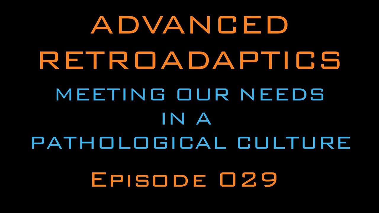 Meeting Our Needs in a Pathological Culture Podcast Episode 029