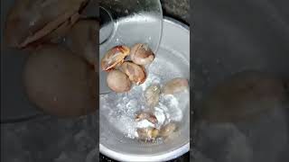 beton/ biji nangka banyak manfaat #tips #tipspraktis #obatkesehatan #beton #bijinangka
