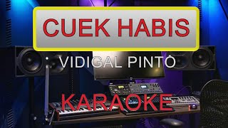 CUEK HABIS  VIDIGAL PINTO_KARAOKE