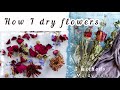 ﻿How I dry flowers | How to dry flowers | malayalam | me and my fairy