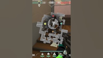 BEST Viper Lineups for SPLIT - B Site Boxes Default Plant