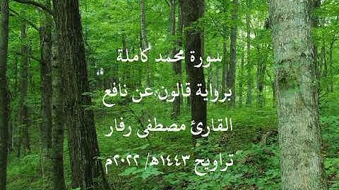 سورة محمد كاملة برواية قالون