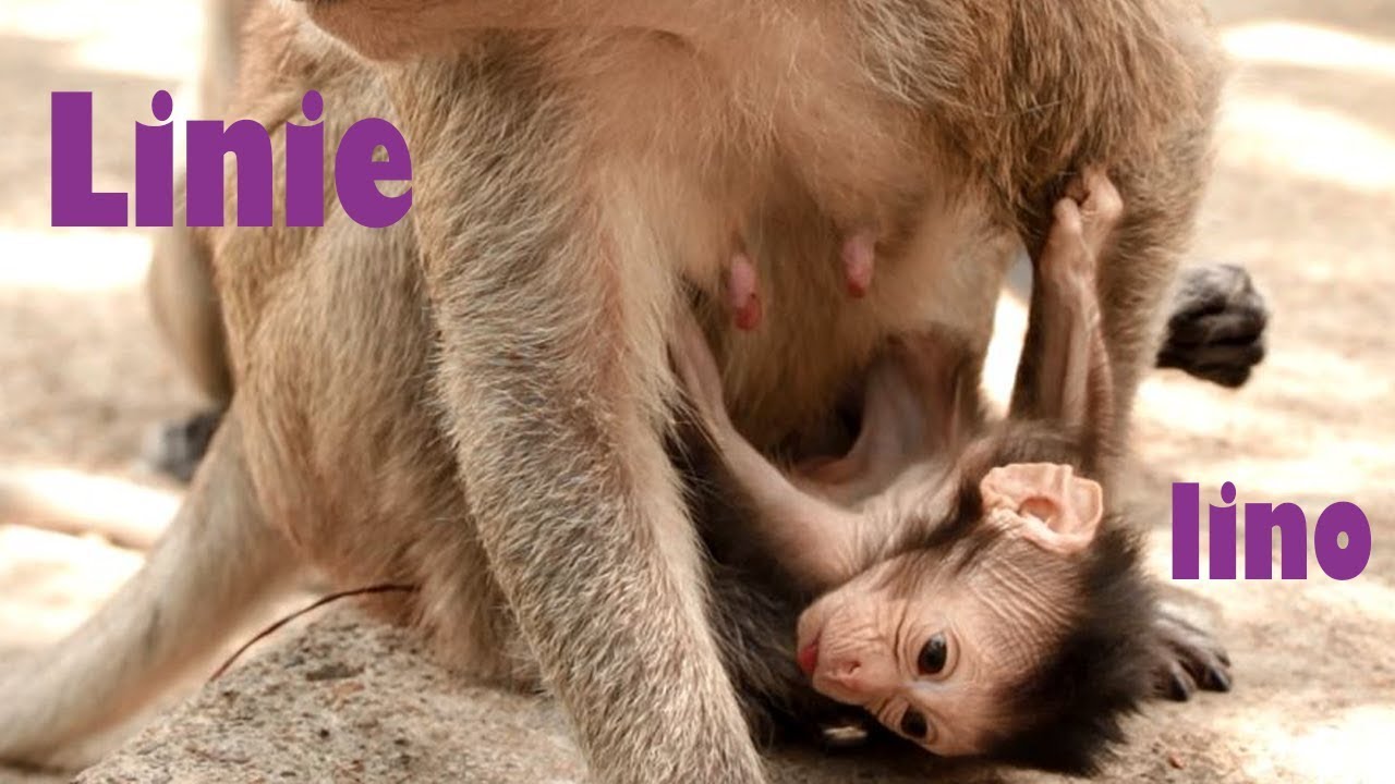 newborn baby boy Oh Young Mommy Linie Just Give Birth, Baby Lino Still Weak