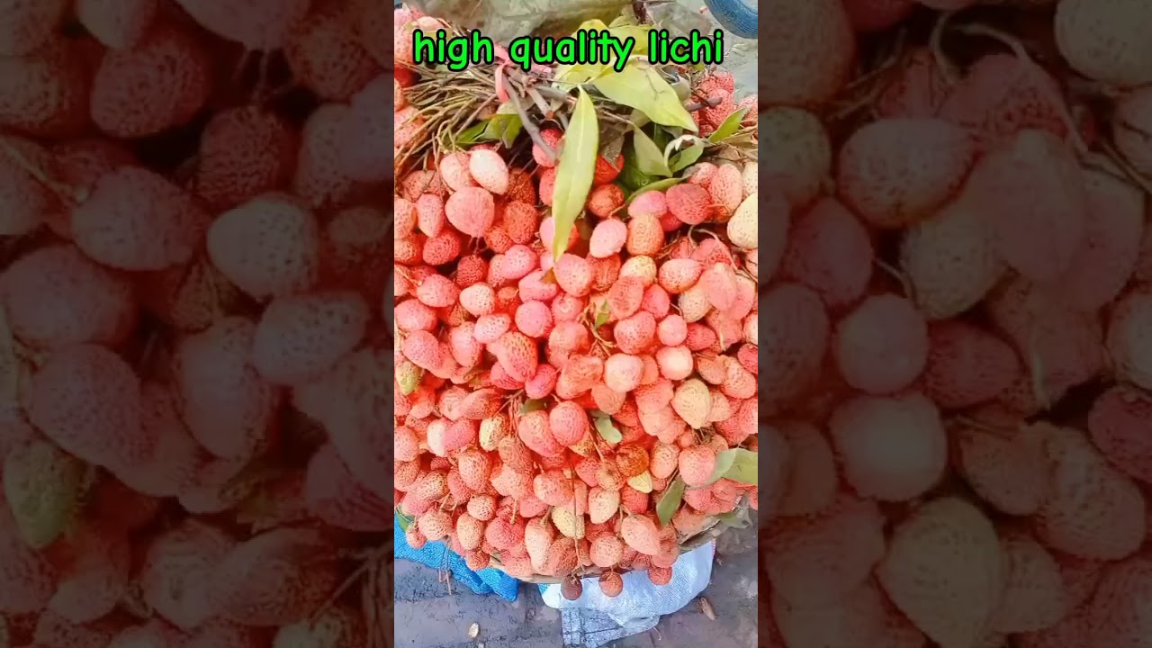 Multan sabji mandi mein lichi ki routine  || 