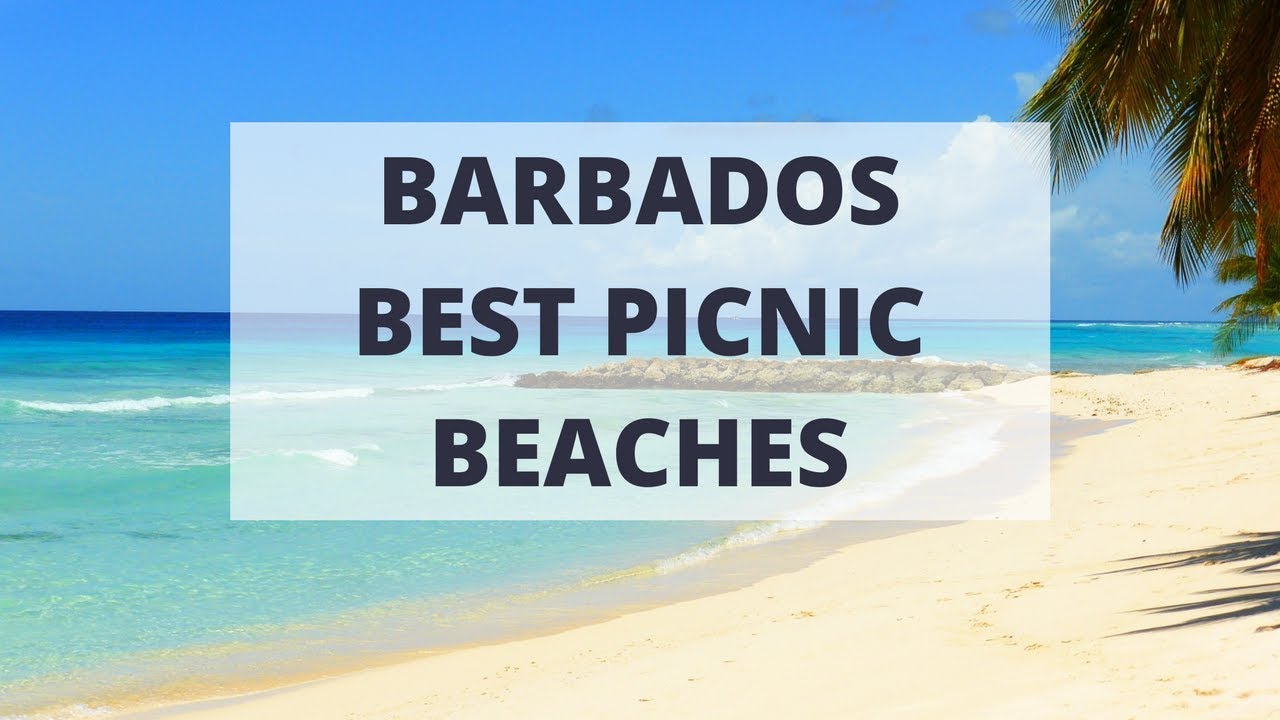 Best Barbados Picnic Beaches YouTube