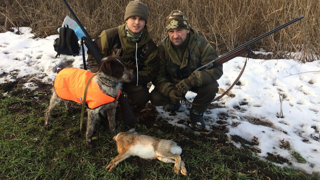 охота на зайца белоруссия