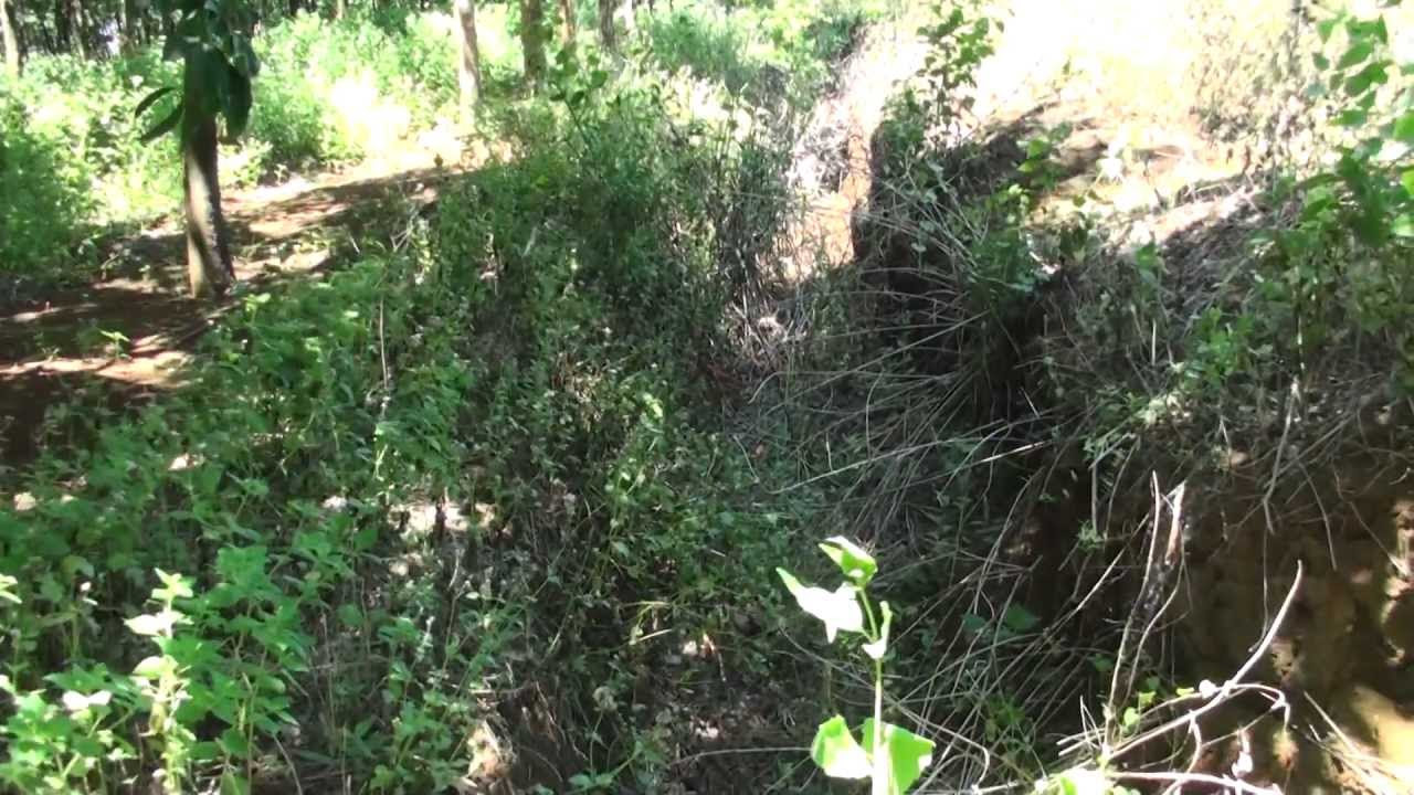 Viet Nam - Hwy 9 - Lao Bao to Dong Ha - youtube