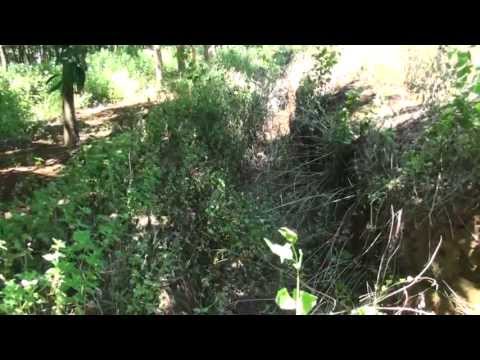 Video Viet Nam - Hwy 9 - Lao Bao to Dong Ha - youtube