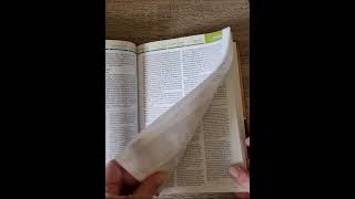 Part 2 - Chronological Life Application Study Bible NLT - flip through.