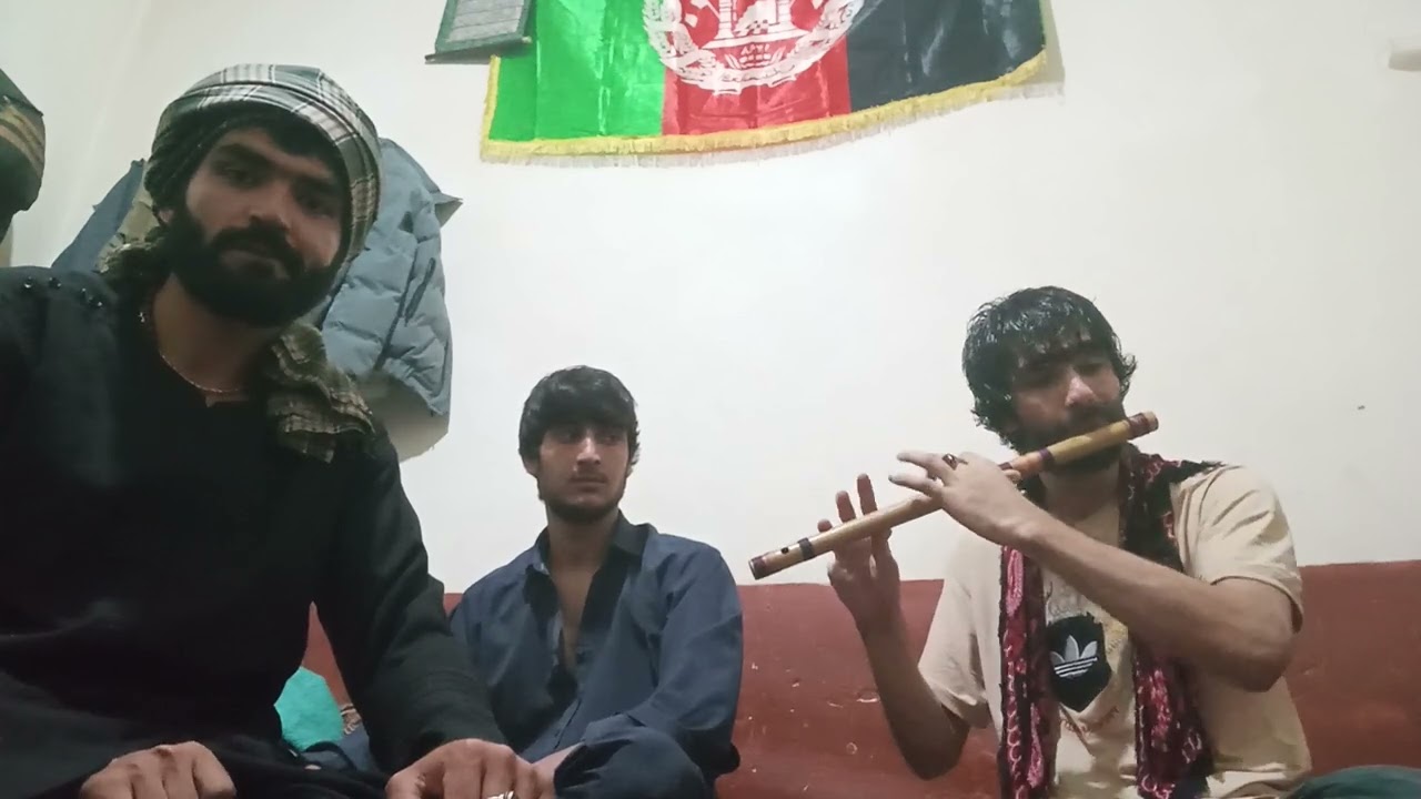 توله ملا توفیق فرخاری به فرمایش مطلیب فرخاری.         داخلی زندان هست انشالله که بخیر بخوبی آزاد شوی