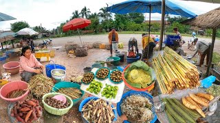 Rural market ຕະຫຼາດຄຳຂີ້ໄກ່ || ตลาดเล็กๆ แต่ของป่าเยอะมากๆ ตลาดคำขี้ไก่, เมืองท่าแขก