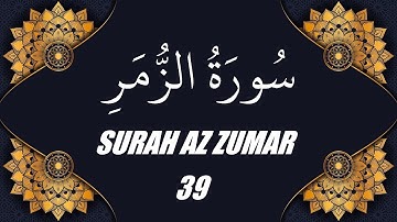 محمد الفقية - سورة الزمر (39)