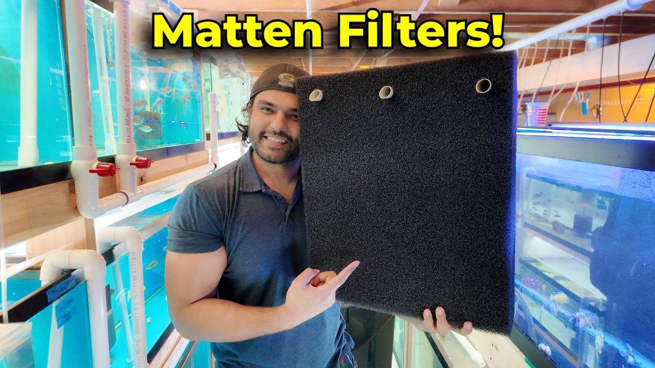 Матовые фильтры — почему мы на них перешли!