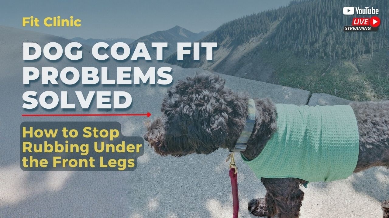 Dog Coat Fit Problems Solved: How to Stop Rubbing Under the Front Legs ...