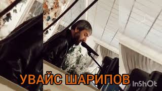 картинка: бода булуш