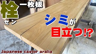 奇麗だから逆に目立つ】セン一枚板×オイル仕上げ【木の店さんもく】How
