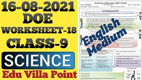 Class 9 Science Worksheet 18(16/08/2021) English Medium| Class 9 Science  | Edu Villa Point