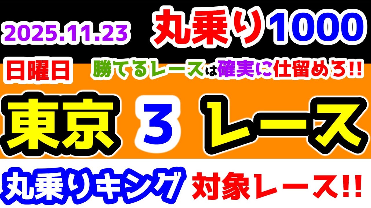 ひとり丸乗り1000】 2025.11.23 東京3R 2歳未勝利 勝てるレースを