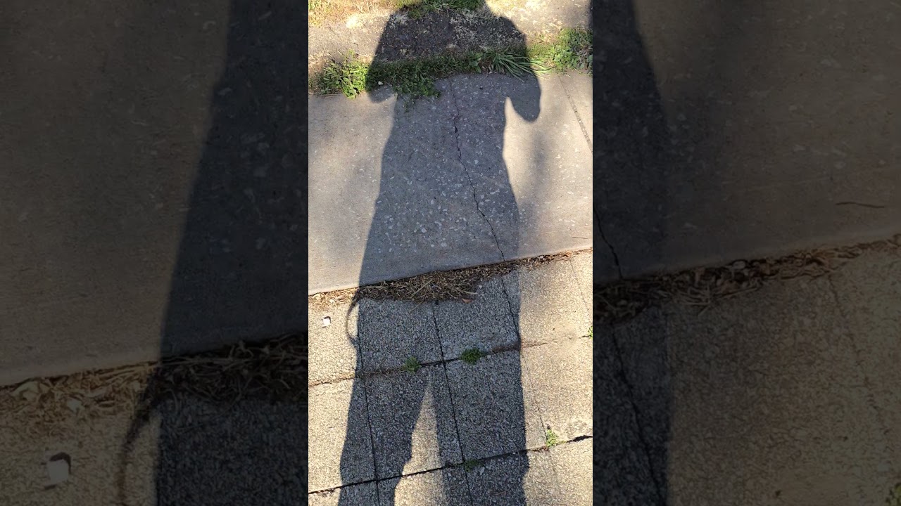 What's this? Reflection of shadows?