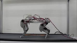 Development of A Small Quadruped Robot with Bi-articular Muscle-tendon Complex