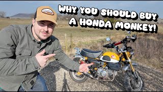 Why You Should Buy a Honda Monkey 125 – The Ultimate Fun Bike!