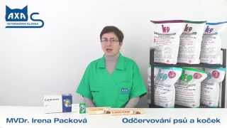 Odčervování psů a koček Odčervování psů a koček