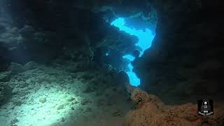 An exclusive dive in St.John’s part 2