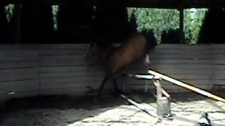 20110216 185942