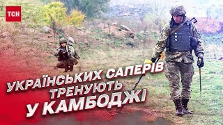 💣 Украинские саперы прошли тренировки по разминированию в Камбодже