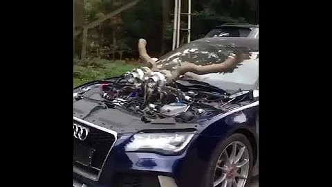 Audi From Hell #audi #modified