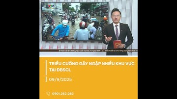 Triều cường tại TP. Cần Thơ có thể chạm mức kỷ lục năm 2022 | VTV CẦN THƠ