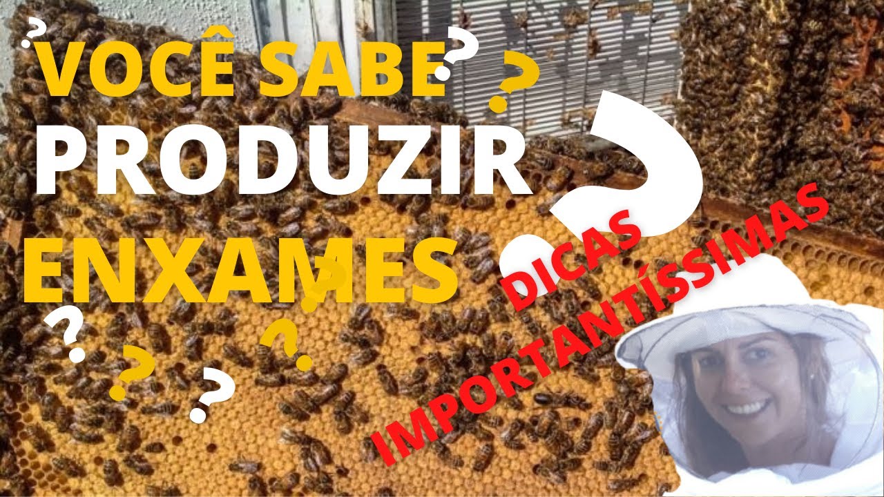 VOCÊ SABE COMO PRODUZIR UM ENXAME?