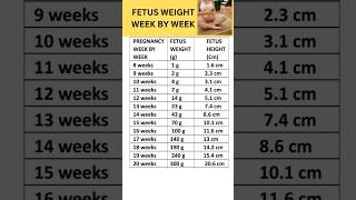 Fetal weight chart week by week pregnany shorts  shortsfeed trending
