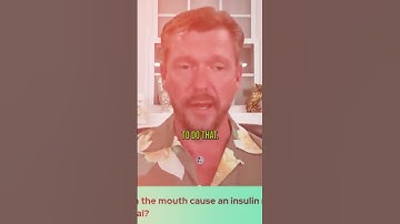 Insulin SPIKE On The Carnivore Diet? 👉
