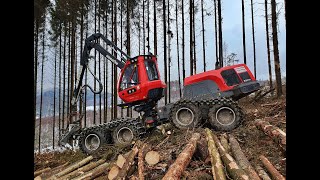 🌲 Komatsu 931XC • *CraneView* • Harvester in Action • Forstbetrieb Surtmann • Loggingaction 🌲