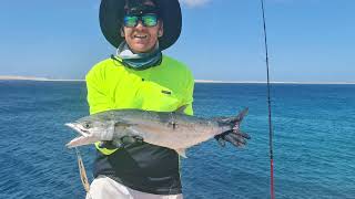 Mackerel Mayhem - Steep Point landbased fishing off the cliffs of Western Australia - Part 2