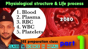 Physiological  Structure and Life Process || RBC/WBC/PLATELETS || 2080 || Class 10 SCIENCE in NEPALI