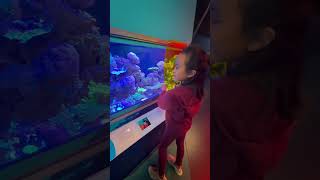 Fun and fishy at Shedd Aquarium ? #sheddaquarium #janineandjanaya