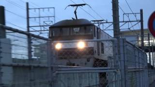 1072レ JR貨物 ECO POWER桃太郎 EF210-123号機 新鶴見機関区所属 牽引貨物列車 東海道本線 愛野駅通過